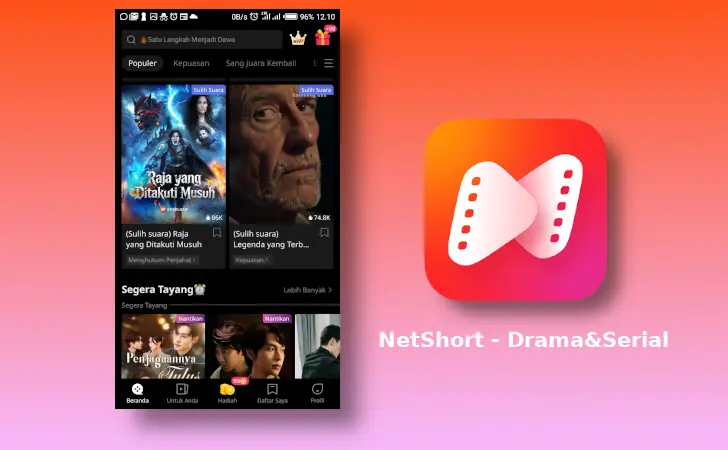 apa itu NetShort