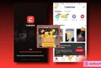 review Cashzine