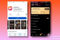 review NetShort