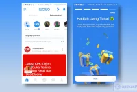 review Woilo
