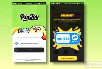 review PinJoy