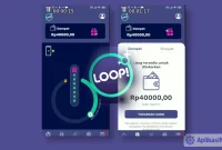 review-loop review Loop